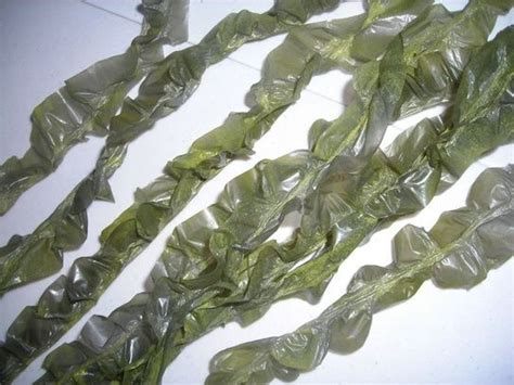 fake seaweed from trash bags